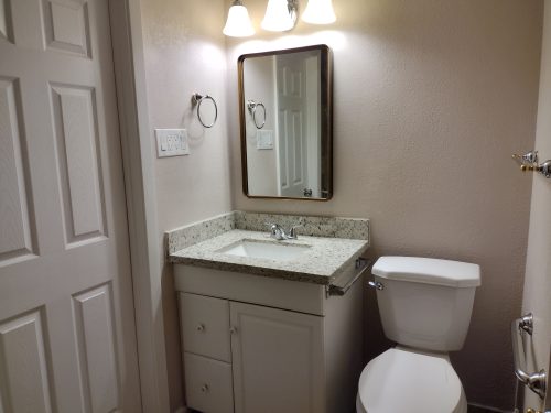 hall bath with shower is handicap accessible