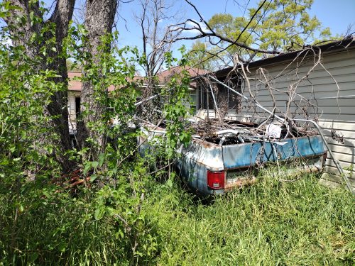 oak forest backyard with old pickup before