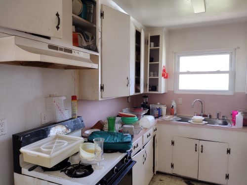 oak forest kitchen before renovation